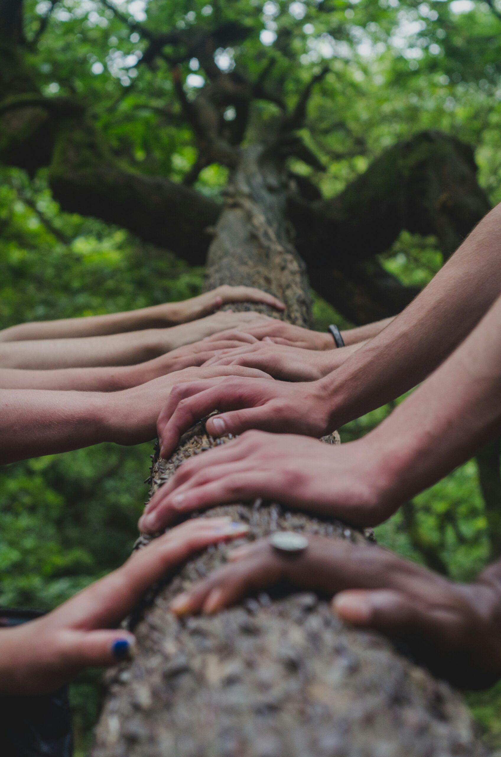 Team – gemeinsam verwurzelt