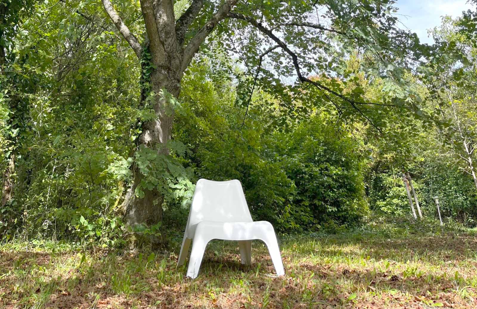 Ein Platz unter dem Baum im Garten des Coaching Café