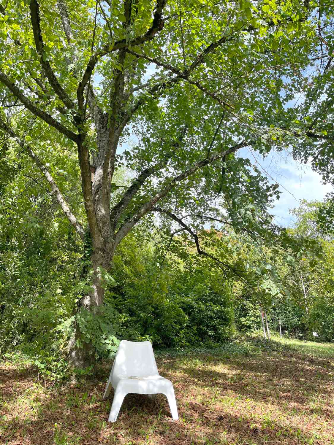 Ein Platz zum Ankommen unter dem Baum