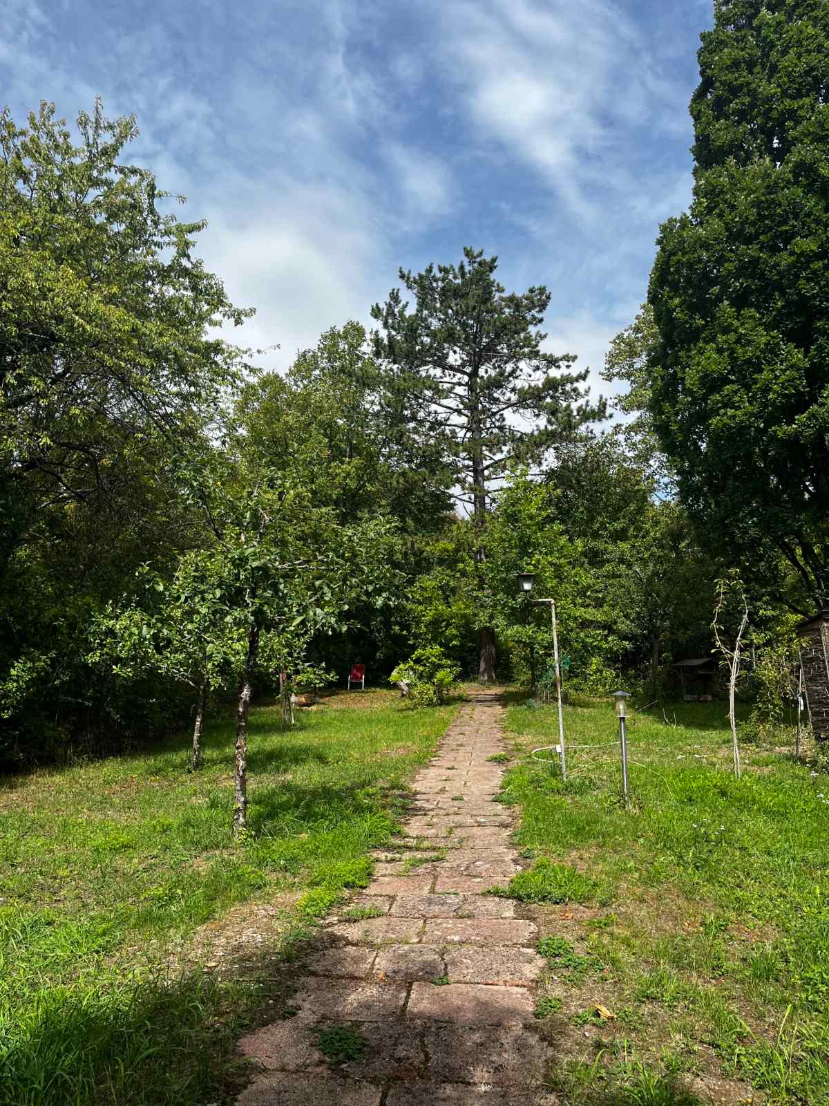 Weg durch den Garten des Coaching Café im Grünen